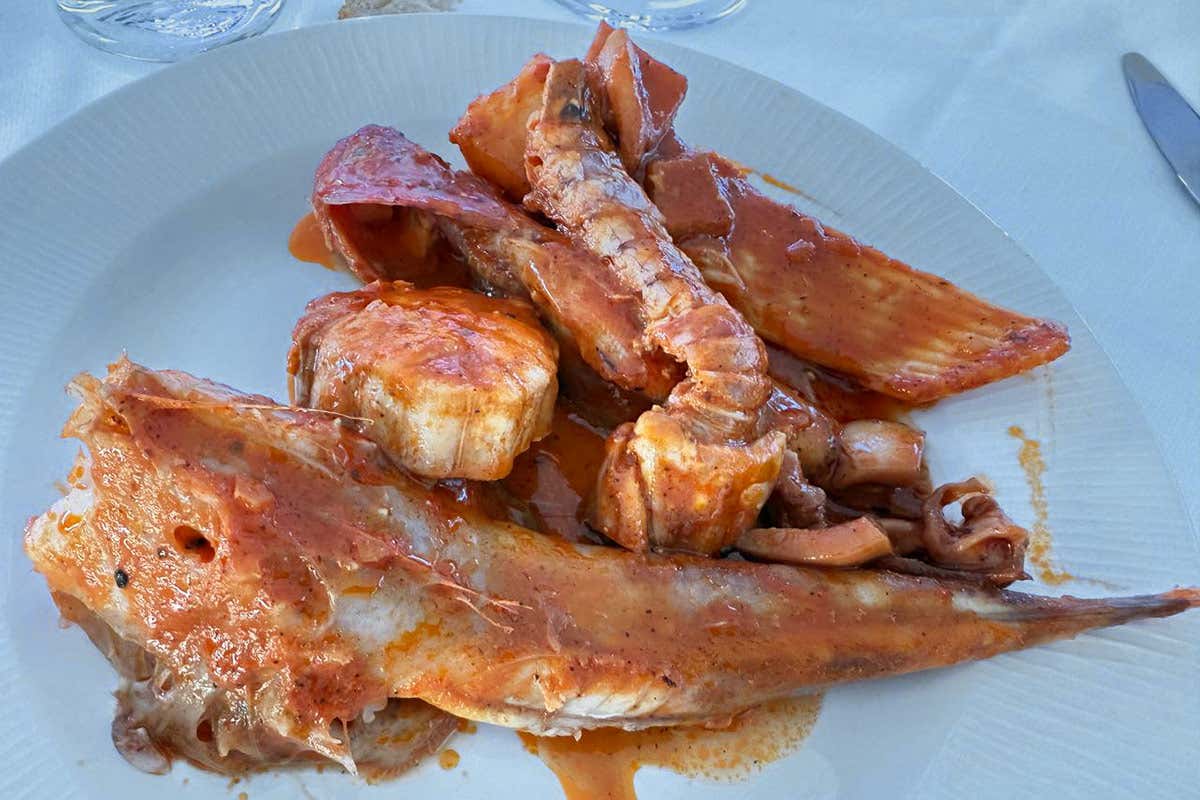 BrodettoFest 2025: Giuseppe Bizioli vince ancora con il suo Ciuppin ligure